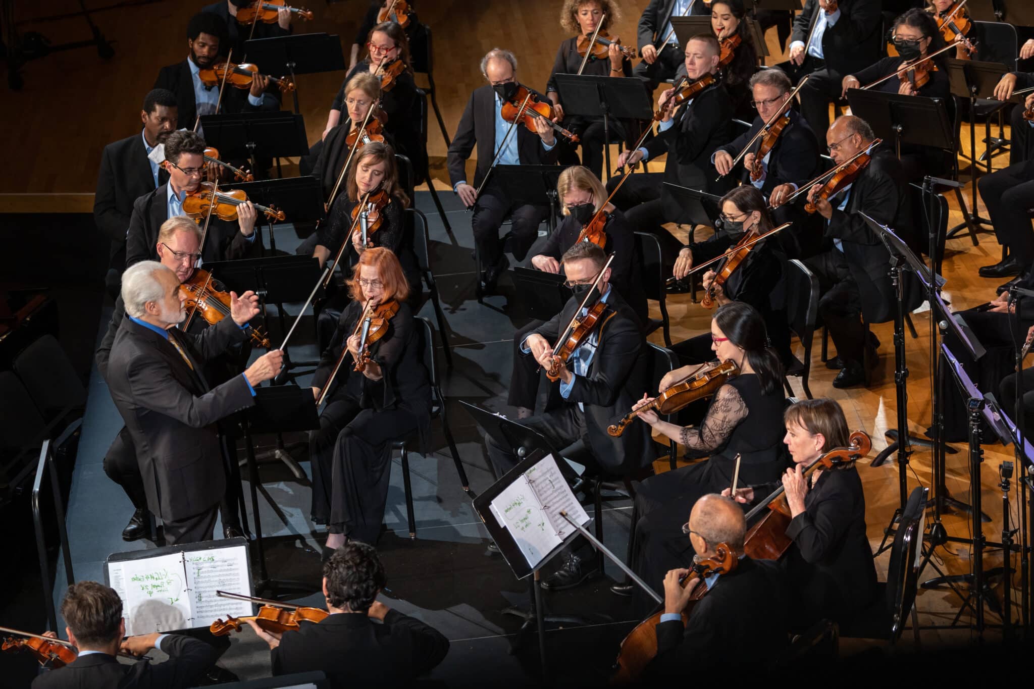 Camille Saint-Saëns - Dallas Symphony Orchestra