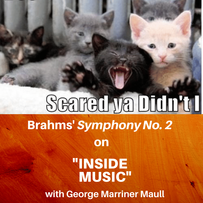Inside Music: Scared ya Didn't I, Brahms' Symphony No. 2